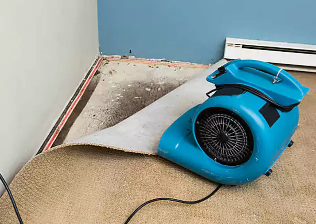 Your Water Damage Experts in Fairmount, GA