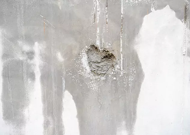 Your Mold Mitigation Solutions Partner in Fairmount, GA