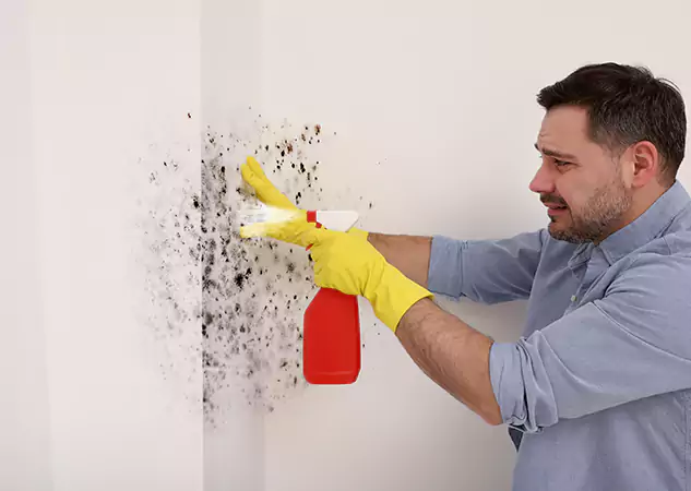 Your Water Mold Fire Restoration Partner in Fairmount, GA