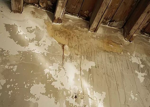 Your Trusted Restoration Company in Fairmount, GA