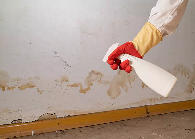 Your Water Restoration and Mold Remediation Specialists in Fairmount, GA