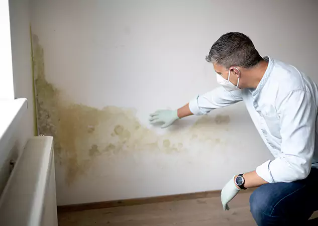Reach Our Remediation Team Before Damage Grows in Fairmount, GA!