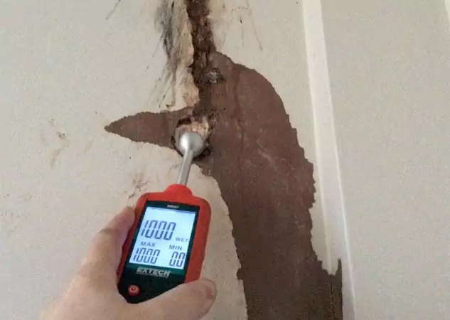 Your Water Damage Assessment Partner in Fairmount, GA