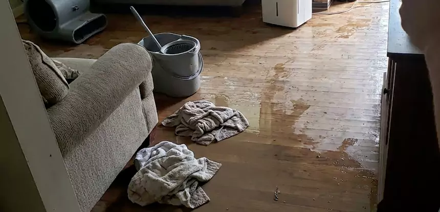 Professional Basement Water Remediation Services in Fairmount, GA