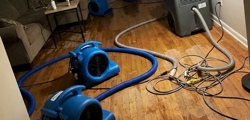 Basement Flood Restoration Services in Fairmount