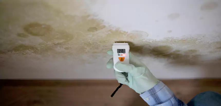 Emergency Mold Remediation in Fairmount