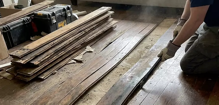 Wood Rot and Fungus Repair in Fairmount