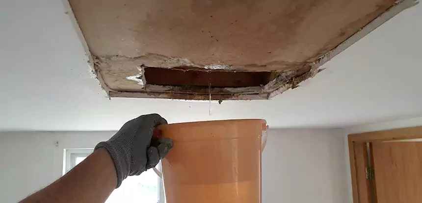 Ceiling Mold Repair Fairmount
