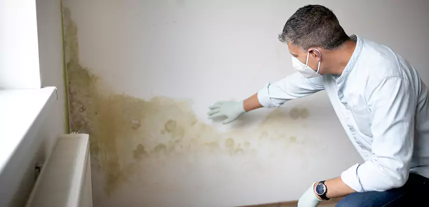 Mold and Water Damage Repair in Fairmount