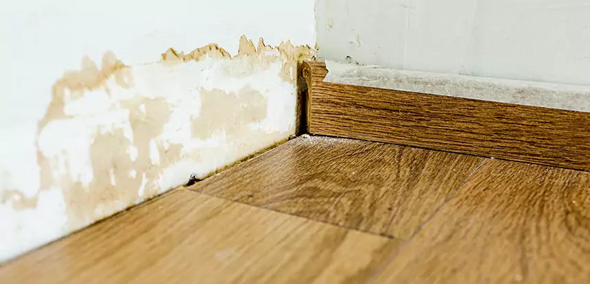 Professional Fix Water Damaged Wood Services in Fairmount, GA