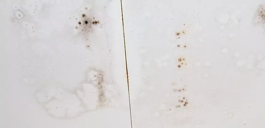 Professional Water Stain Repair Services in Fairmount, GA