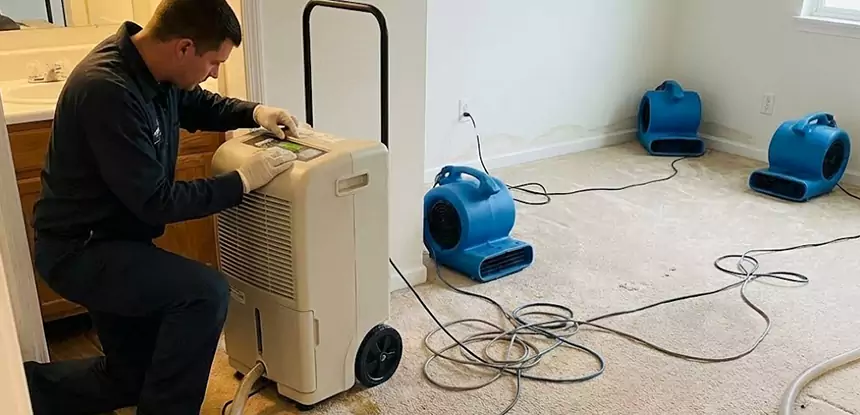 Professional Wet Carpet Removal Services in Fairmount, GA