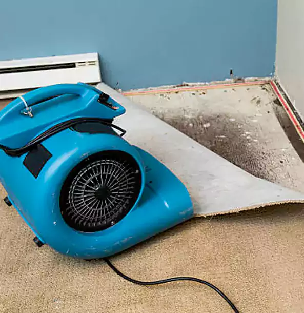 Why Fairmount Trusts Fairmount Restoration Pro for Carpet Flood Recovery?