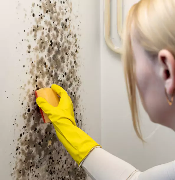 Why Fairmount Restoration Pro Leads Mold Remediation in Fairmount?