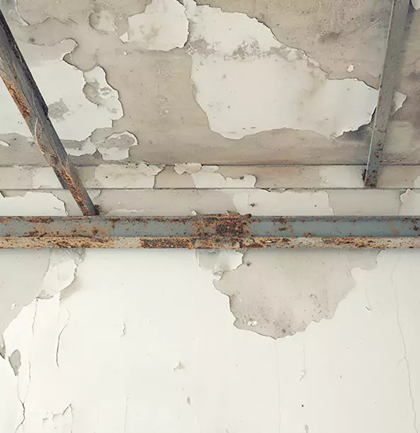 Why Fairmount Restoration Pro Is the Right Choice in Fairmount, GA?