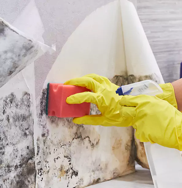 Why Fairmount Trusts Fairmount Restoration Pro for Mold and Water Restoration?