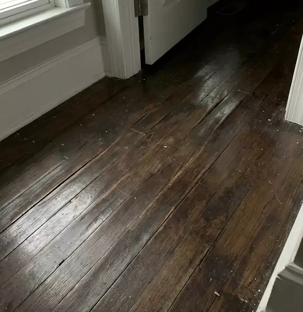 Why Fairmount Homeowners Trust Fairmount Restoration Pro to Fix Water Damaged Wood?