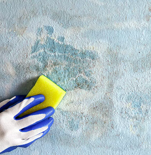 Why Fairmount Restoration Pro Is the Right Choice in Fairmount, GA?