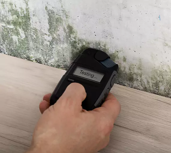 Mold Remediation Service Fairmount