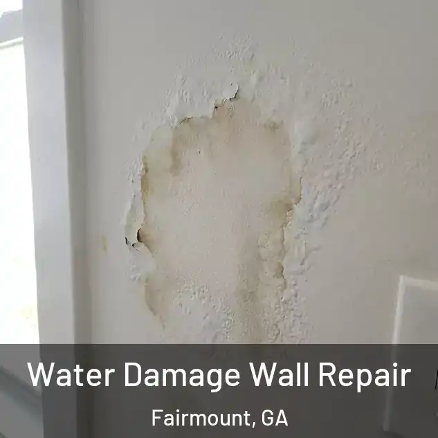  Water Damage Wall Repair Fairmount, GA