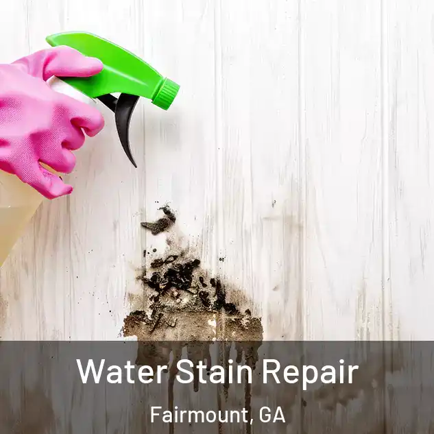  Water Stain Repair Fairmount, GA