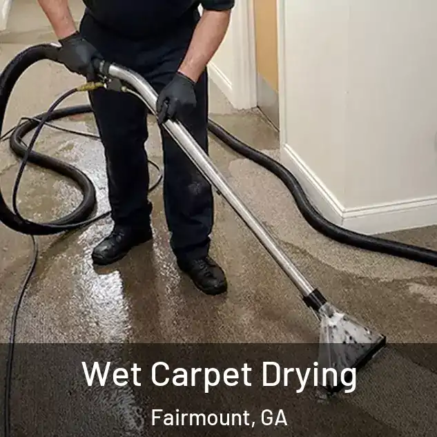  Wet Carpet Drying Fairmount, GA